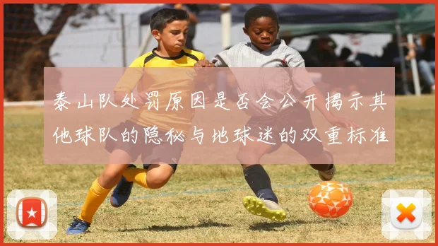 泰山队处罚原因是否会公开揭示其他球队的隐秘与地球迷的双重标准