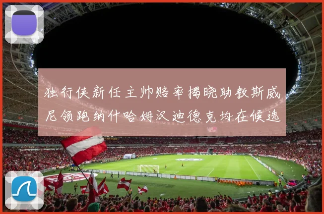 独行侠新任主帅赔率揭晓助教斯威尼领跑纳什哈姆汉迪德克均在候选之中